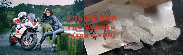 ПСИЛОЦИБИНОВЫЕ ГРИБЫ Бородино