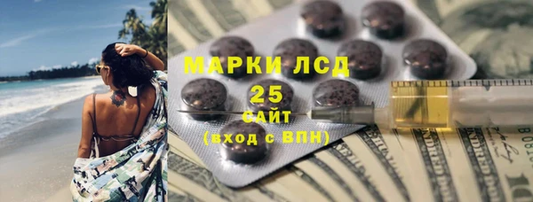 ПСИЛОЦИБИНОВЫЕ ГРИБЫ Бородино