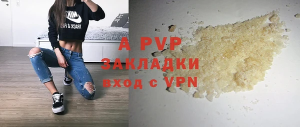 ПСИЛОЦИБИНОВЫЕ ГРИБЫ Бородино