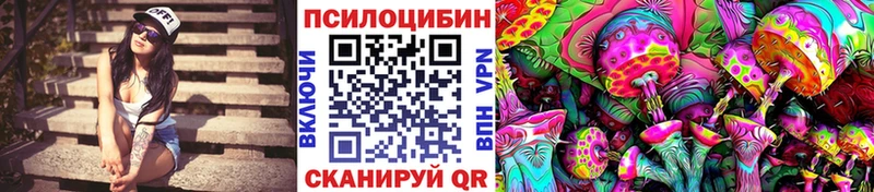 купить наркоту  Шарья  Галлюциногенные грибы мицелий 