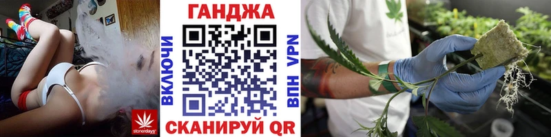 Каннабис план  Шарья 